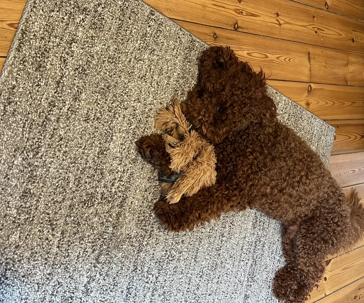 Fridolin mit Kuscheltier